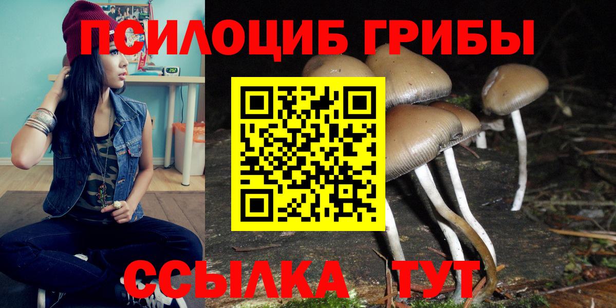 Галлюциногенные грибы мицелий  Галлюциногенные грибы Psilocybine cubensis  Кулебаки  Вход с VPN 