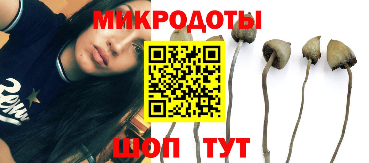 Галлюциногенные грибы мухоморы Кулебаки