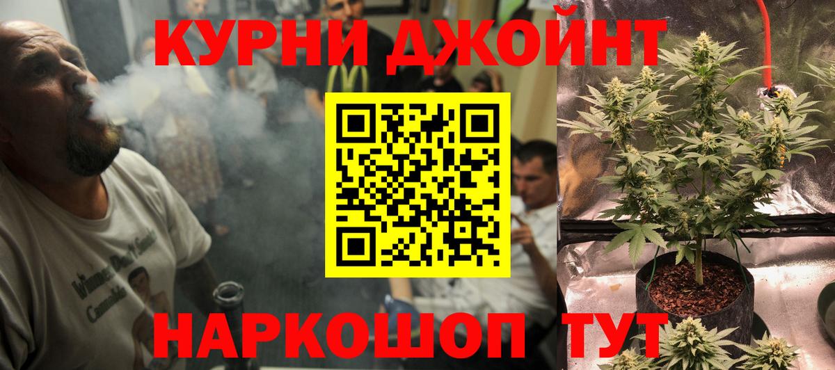 Канабис сатива Кулебаки